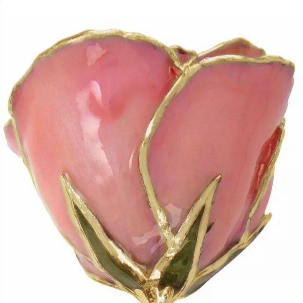 Pink Gold Trimmed REAL Lacquered Rose - Picture 2 of 3